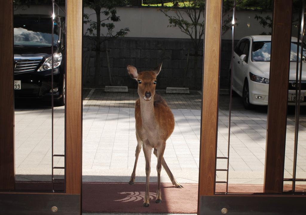 Noborioji Hotel Nara Exteriér fotografie